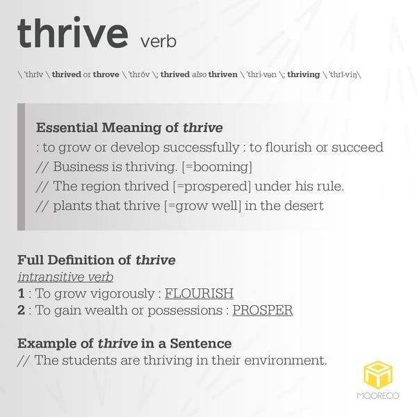 2021-09 Thrive Definition Image for SAK 1200x1200_v2